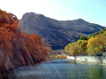 新澳天天开奖资料大全旅游团，bad组合